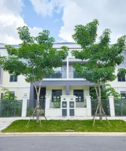 Nhà phố 8x20m