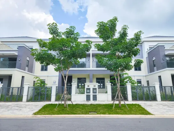 Nhà phố 8x20m