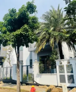 Biệt Thự Song Lập 10x20m hướng sông