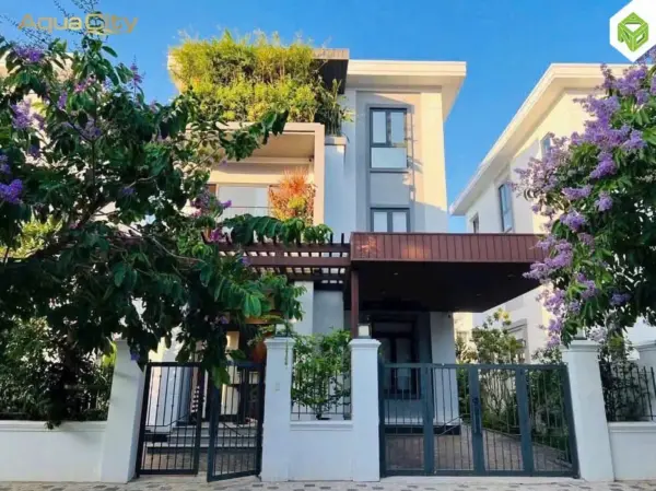 Biệt thự đơn lập sông 12x20m